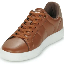 Levi's - ARCHIE Marron Clearance