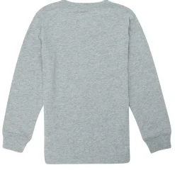 Levi's - BATWING TEE LS