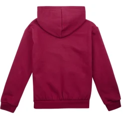 Levi's - LVG POSTER LOGO HOODIE