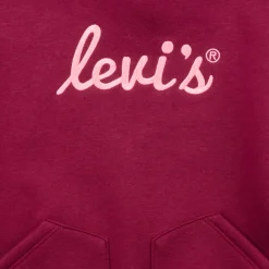Levi's - LVG POSTER LOGO HOODIE