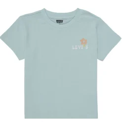 Levi's - OCEAN BEACH SS TEE