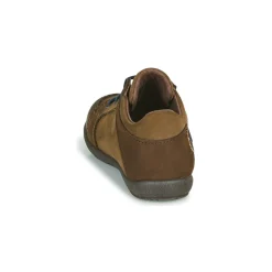 Little Mary - COQUIN