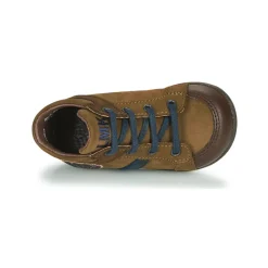 Little Mary - COQUIN