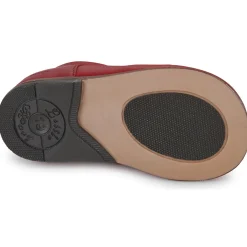 Little Mary - MILOTO