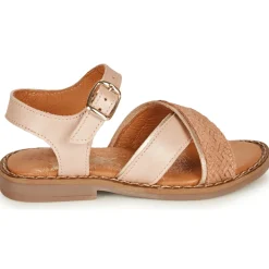 Clearance Little Mary - REVERIE Rose