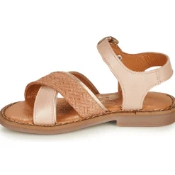 Little Mary - REVERIE Rose