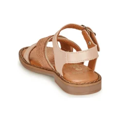 Little Mary - REVERIE Rose