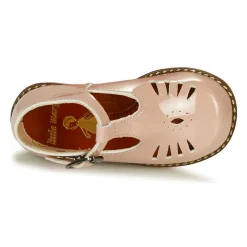 Little Mary - SURPRISE Rose Clearance