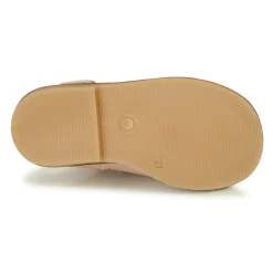 Little Mary - SURPRISE Rose Clearance