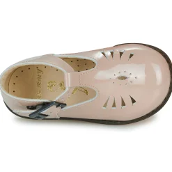 Little Mary - SURPRISE Rose Sale