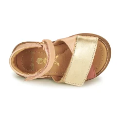 Little Mary - TERIGA