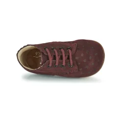 Little Mary - VIVALDI