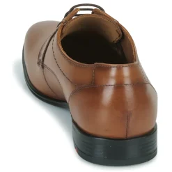 Lloyd - OSMOND Cognac Hot