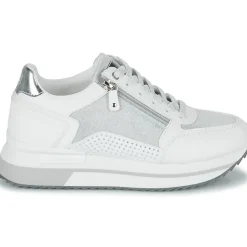 Lumberjack - CECILIA