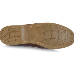 Lumberjack - NAVIGATOR