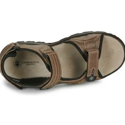 Lumberjack - VITO Marron Clearance