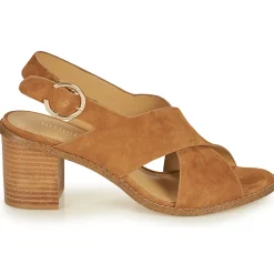 Hot Maison Minelli - CASIMIERA Marron