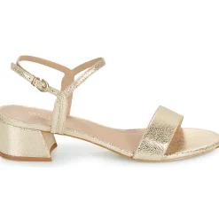 Maison Minelli - F630004MET Doré Discount