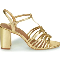 Maison Minelli - THERENA Doré Best