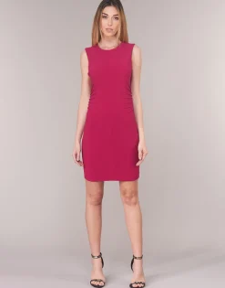 Marciano - AMAYA Rose Best