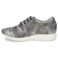 Maruti - WING Marron Best