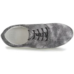 Maruti - WING Marron Best