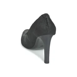 Maruti - ZAMBA Noir New