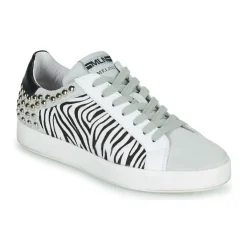 Clearance Meline - MOLI