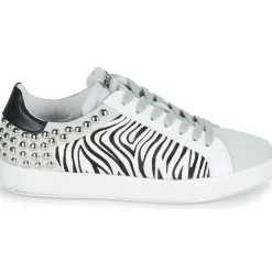 Clearance Meline - MOLI