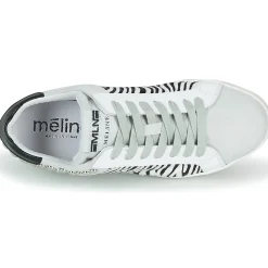 Clearance Meline - MOLI