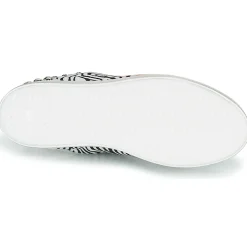 Clearance Meline - MOLI