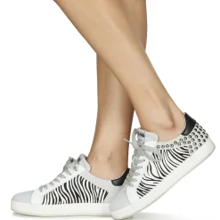 Clearance Meline - MOLI