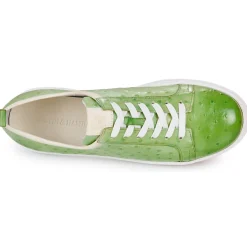 Clearance Melvin & Hamilton - AMBER 6 Vert