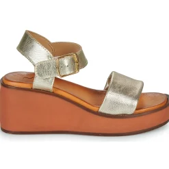 Metamorf'Ose - NABOT