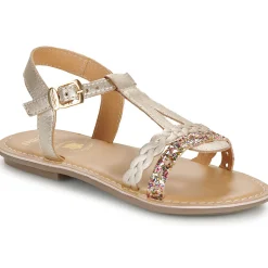 Hot Minibel - FRESSIA Doré