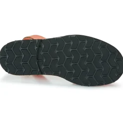 Minorquines - AVARCA