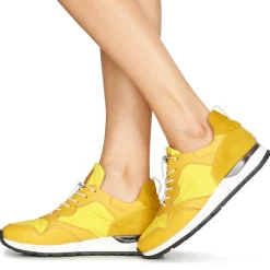 Online Mjus - CAST Jaune