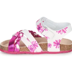 Clearance Mod'8 - KOENIA