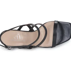 Moony Mood - PELINA Noir