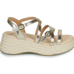 MTNG - 59897 Doré Hot