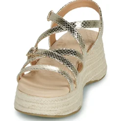 MTNG - 59897 Doré Hot