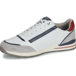 Online Mustang - 4154316