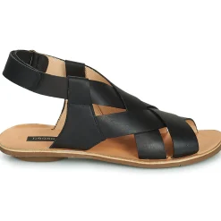 Neosens - DAPHNI Noir Hot