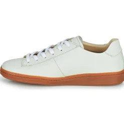 Neosens - TREBBIANO Blanc Online