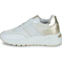 NeroGiardini - E512862D