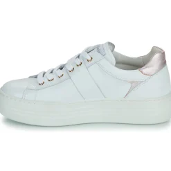 NeroGiardini - E409967D