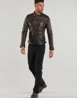 Oakwood - CASEY Marron Hot