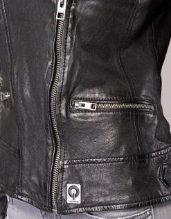 Oakwood - VIDEO Noir