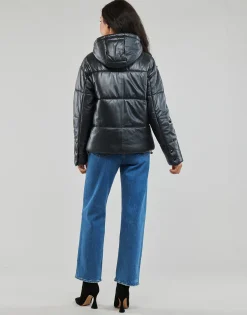 Oakwood - WANDA METAL