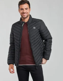 Oxbow - N2JUNCO Noir New